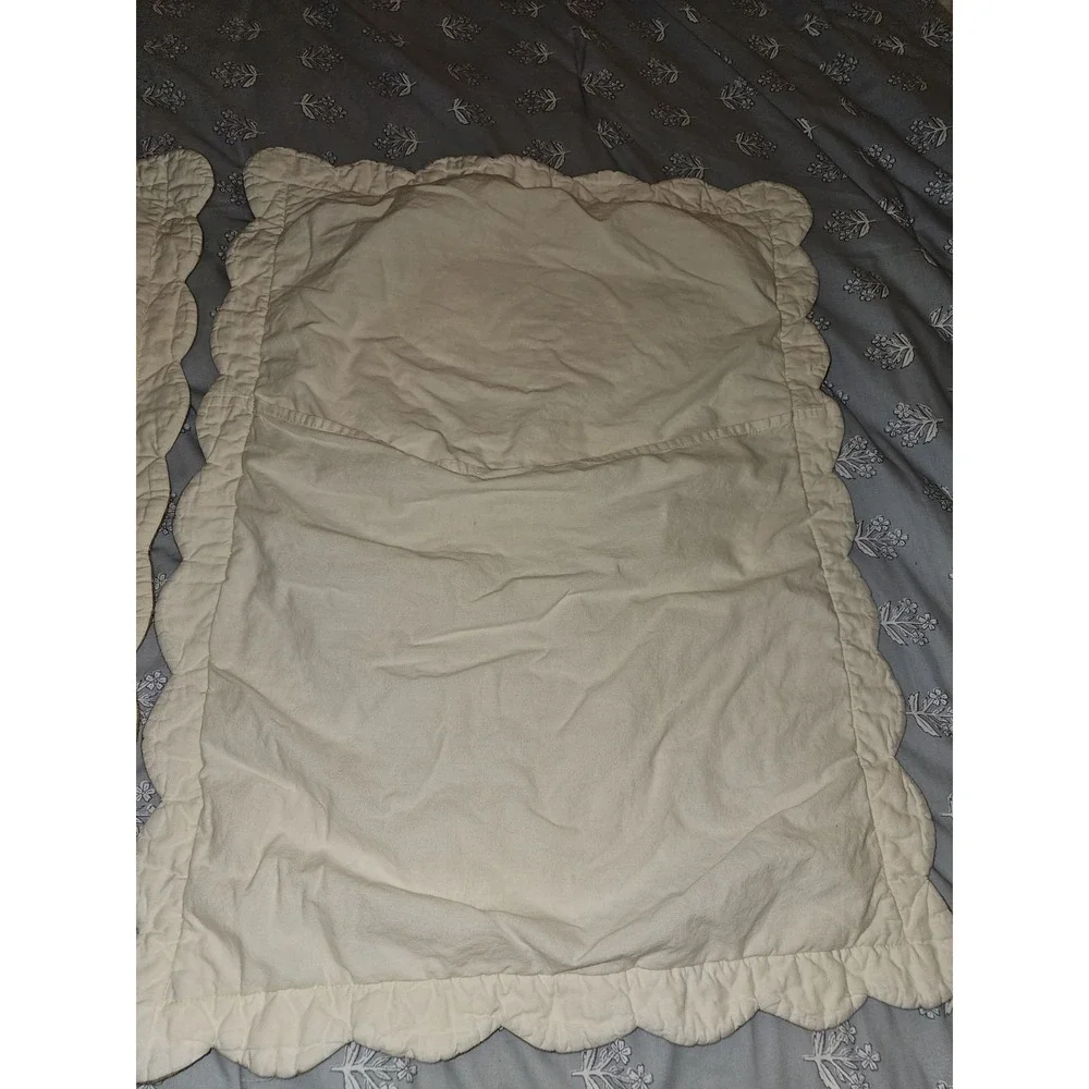 embroidered center medallion quilt  With  a decorative floral and Vines 2 Shams